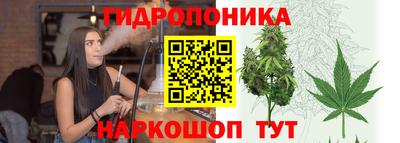 гашик Кумертау