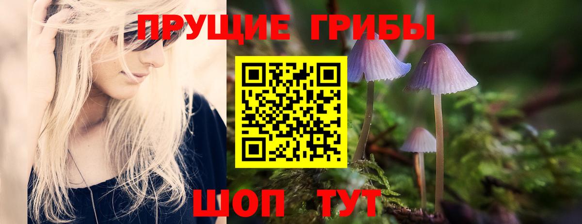 Галлюциногенные грибы Magic Shrooms Чайковский